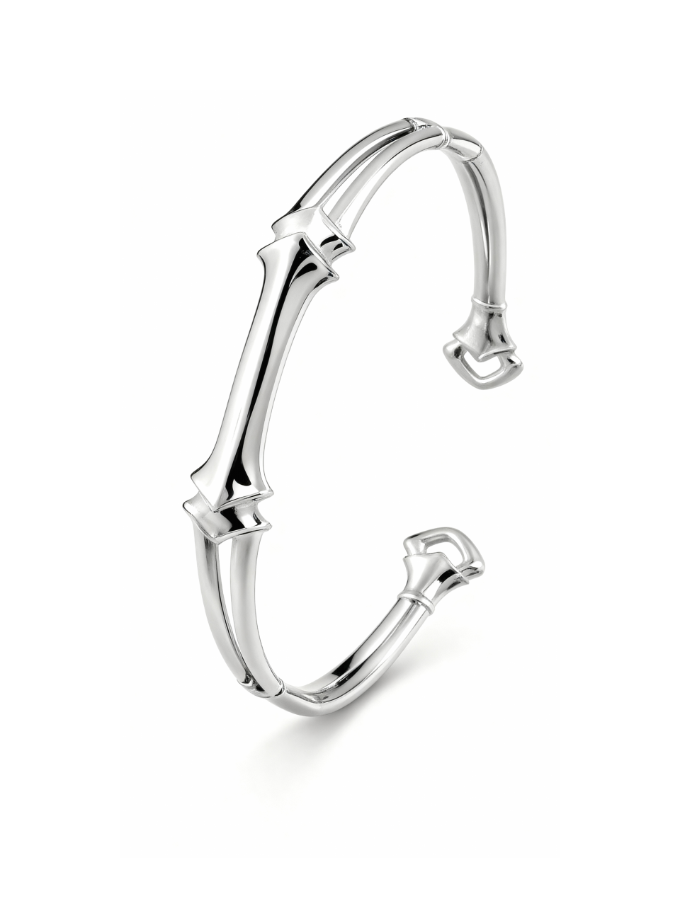 Jaagravii Bone Bracelet