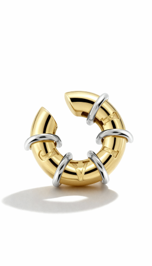 freepik__recreate-the-exact-same-jewelry-from-img1-with-ide__77693